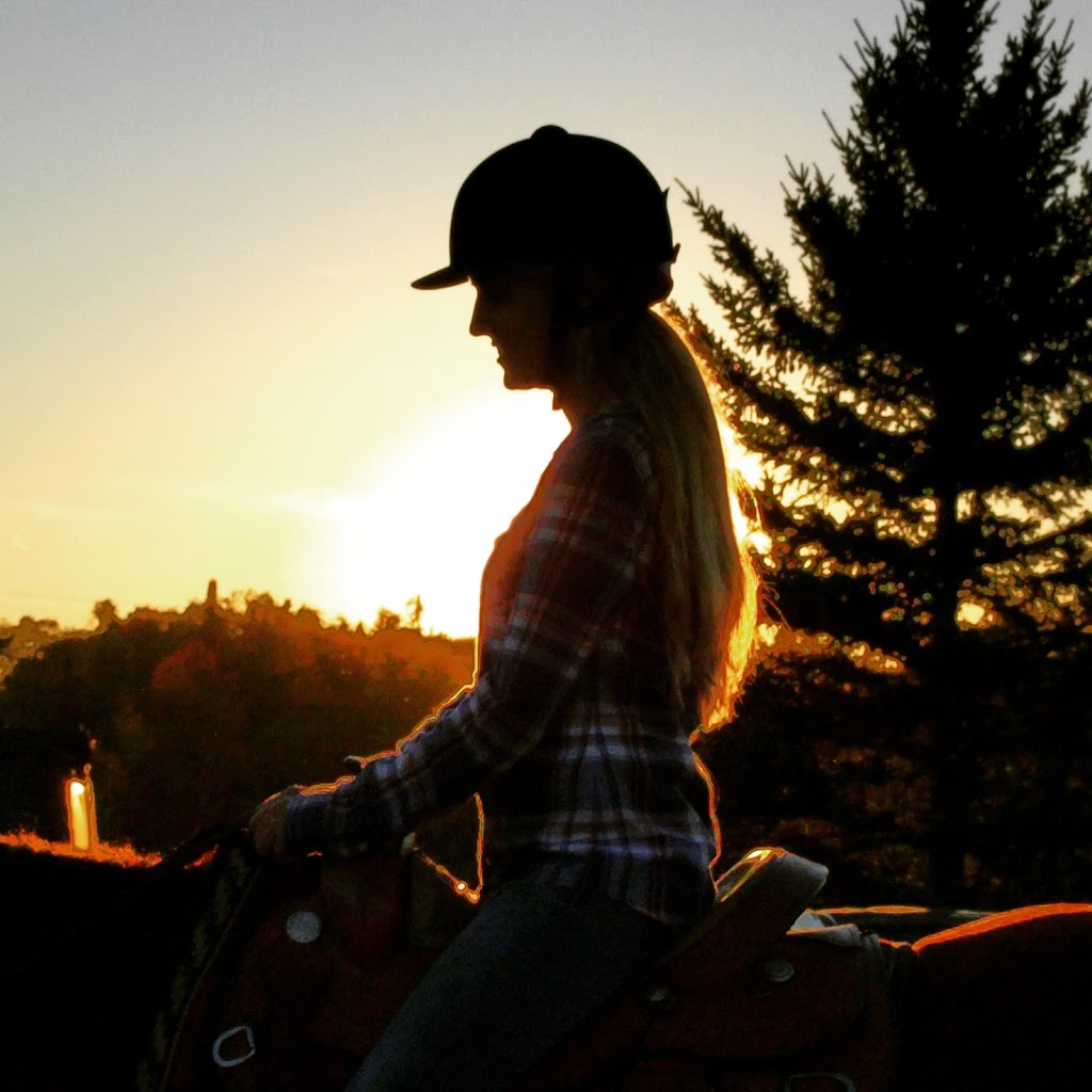 Blog Header Img