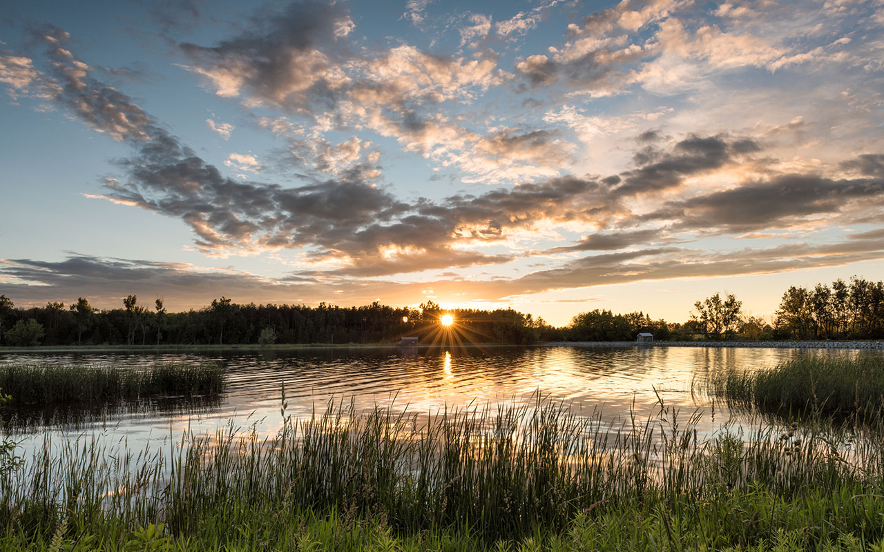 Blog Header Img