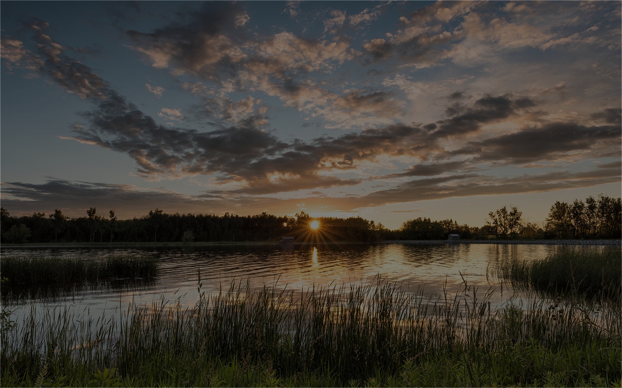 Blog Header Img